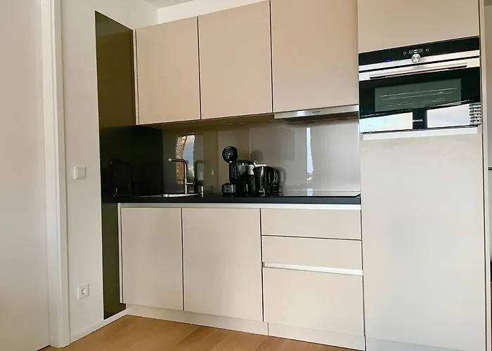 Apartment Riverfront With Balcony And Ac Wien